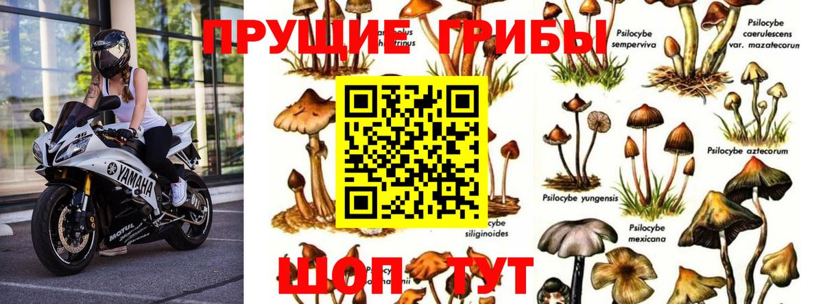 Галлюциногенные грибы MAGIC MUSHROOMS  Псилоцибиновые грибы Psilocybine cubensis  Вход с VPN  Кинешма 